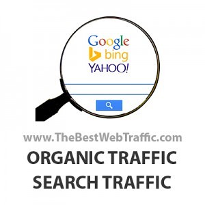 Buy-Organic-Traffic-Organic-Search-Traffic-300x300.jpg